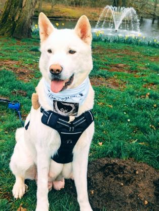 Sharna the Huskita%